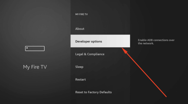 Navigate to Developer Options.